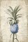 Blue Pineapple Poster Print by Jace Grey - Item # VARPDXJGRC201A